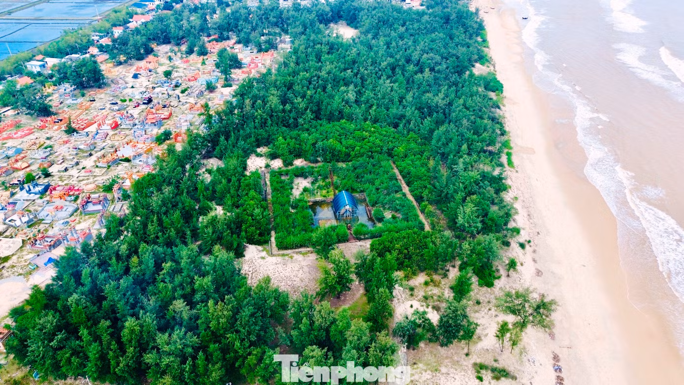 tp-1-bao-ton-thap-cham-phu-dien.jpg