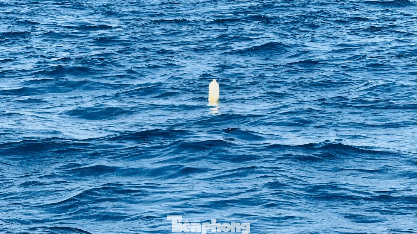 tp-c_2aoboqmn4yuxrrw7znahkzvjzgfhpanrffvihodk.jpg