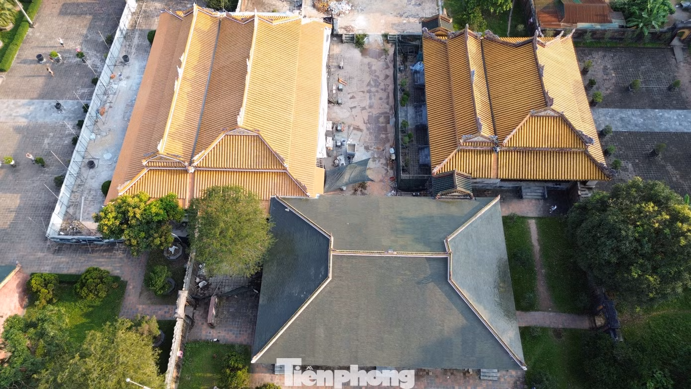 tp-c_dji-0392.jpg