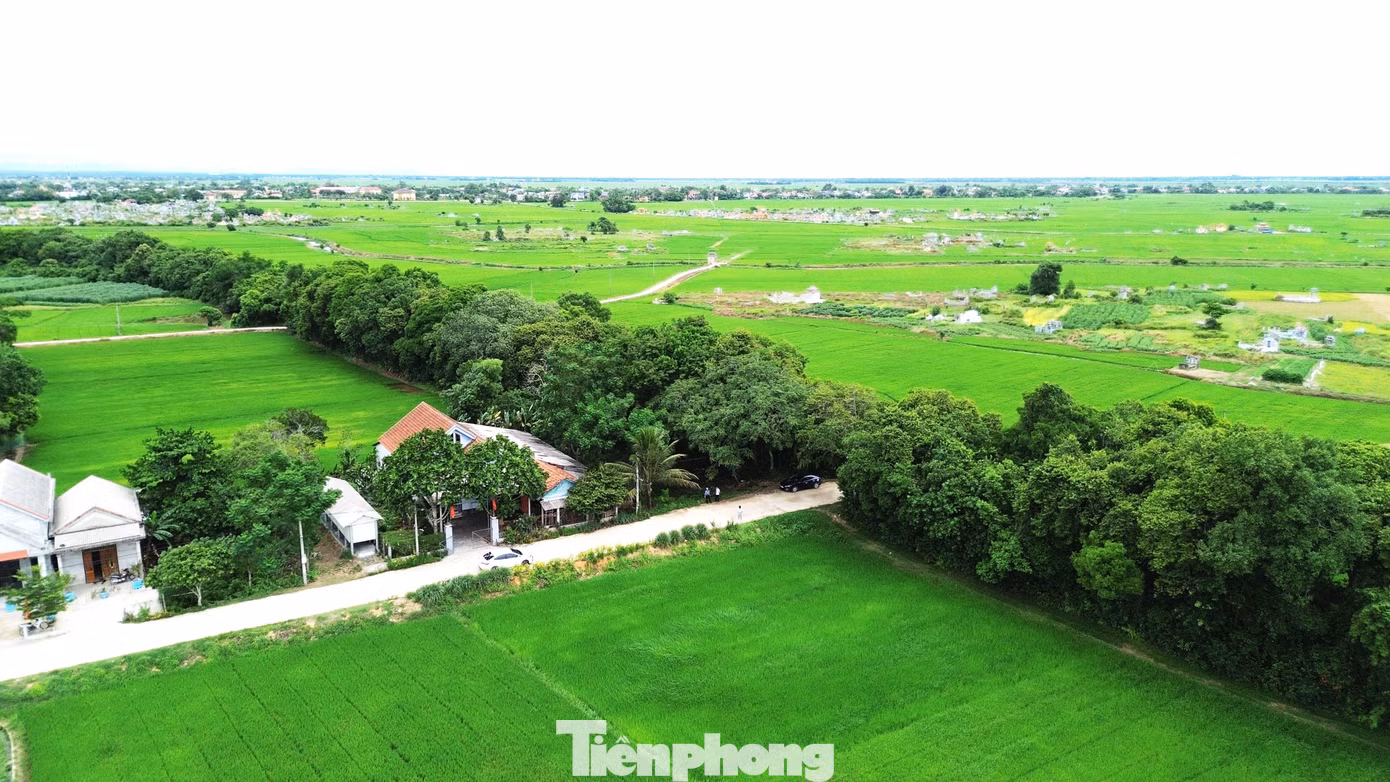 tp-c_5-loc-vung-phong-dinh.jpg