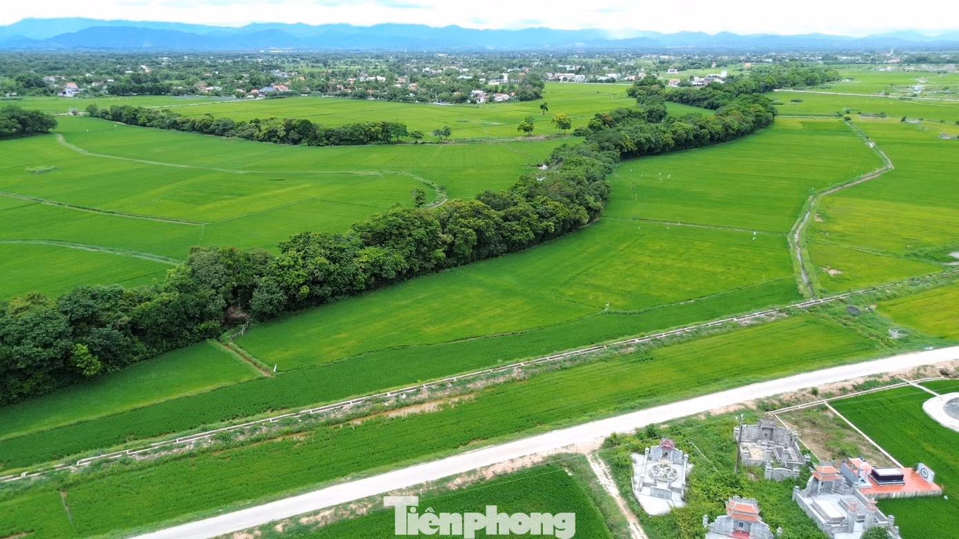 tp-c_4-loc-vung-phong-dinh.jpg