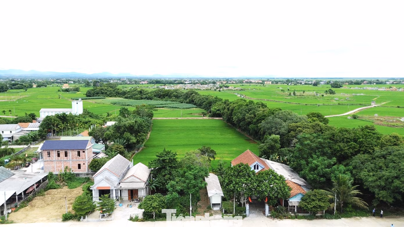 tp-c_9-loc-vung-phong-dinh-1.jpg