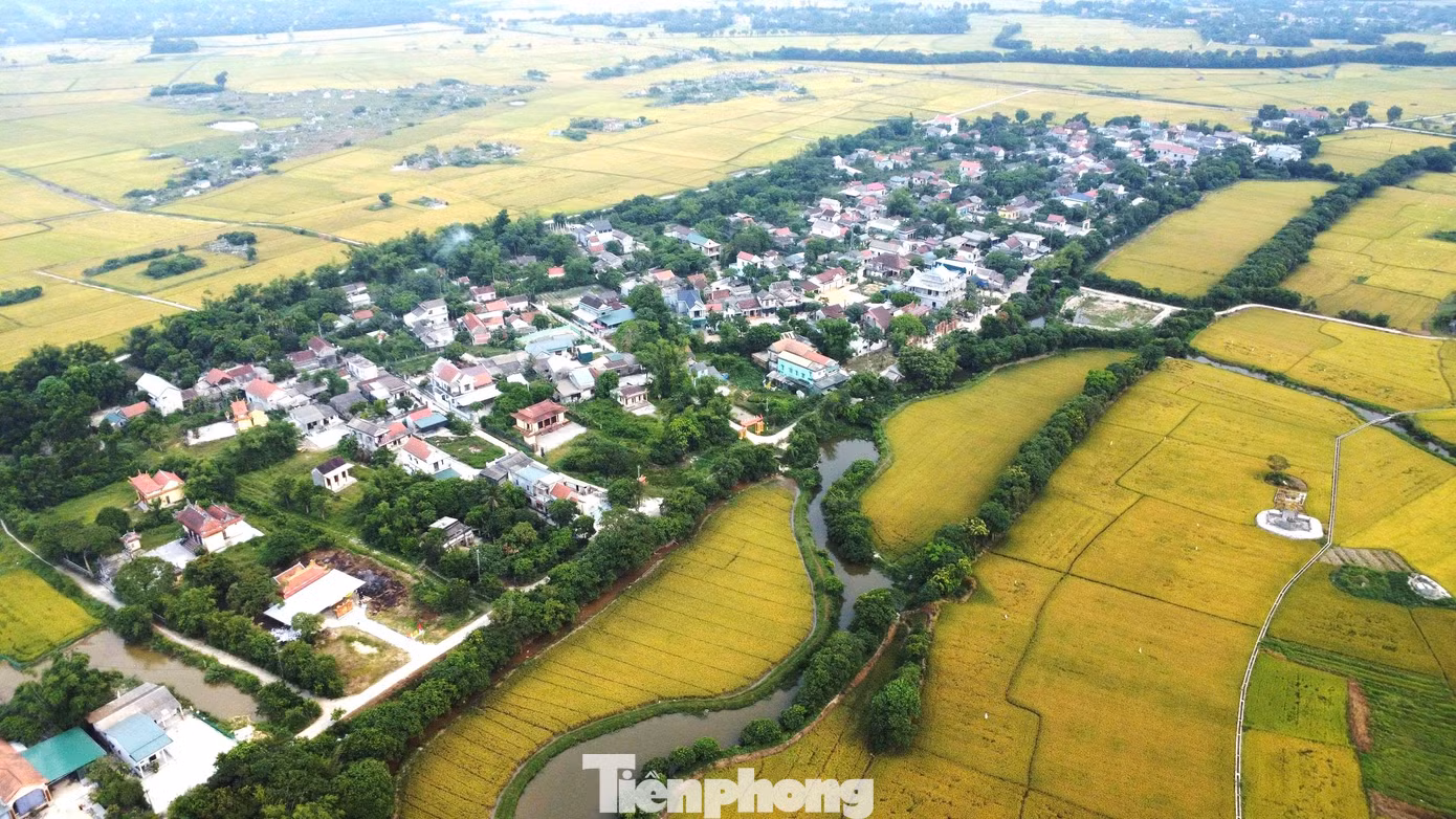 tp-c_3-loc-vung-phong-dinh.jpg
