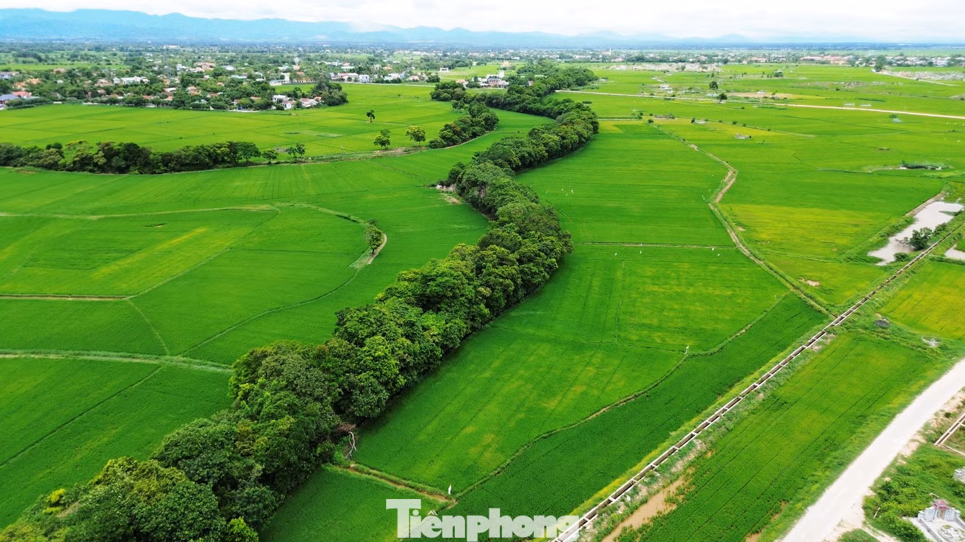 tp-c_1-loc-vung-phong-dinh.jpg