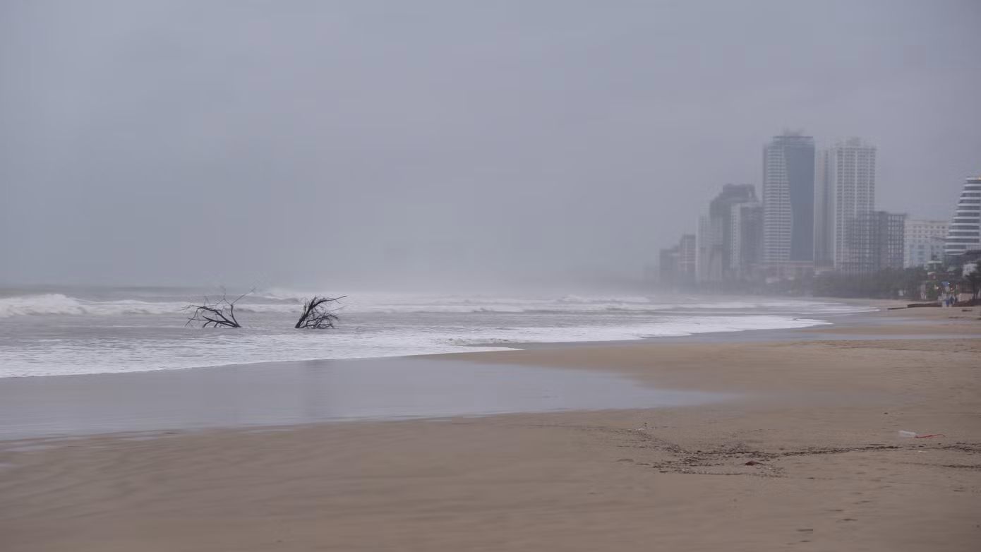 dscf6491.jpg