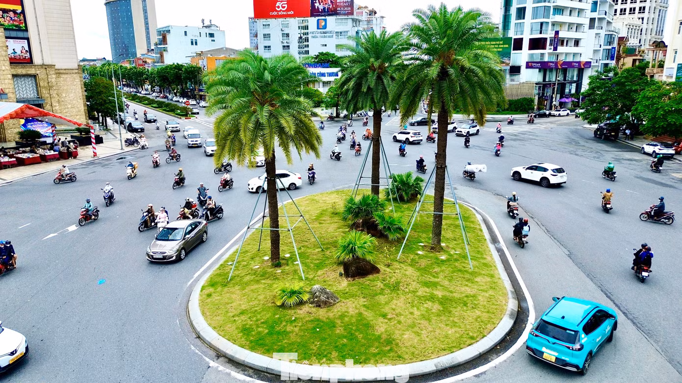 tp-5-cay-xanh-hue.jpg