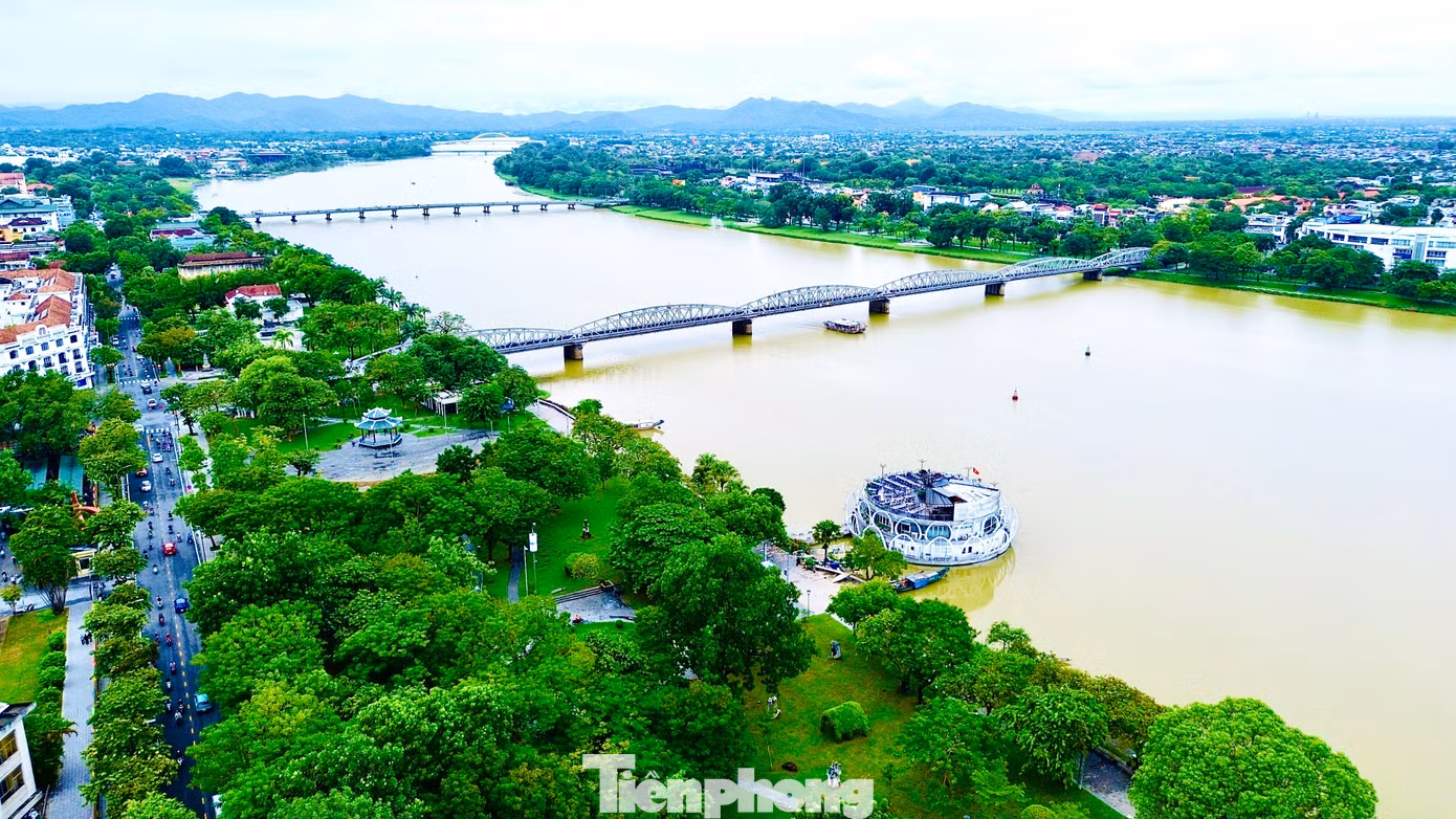 tp-1-cay-xanh-hue.jpg