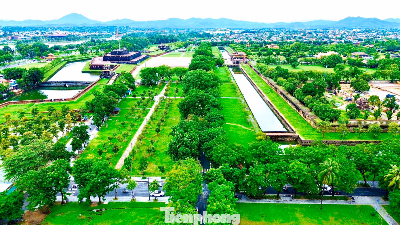 tp-9-3-cay-xanh-hue.jpg