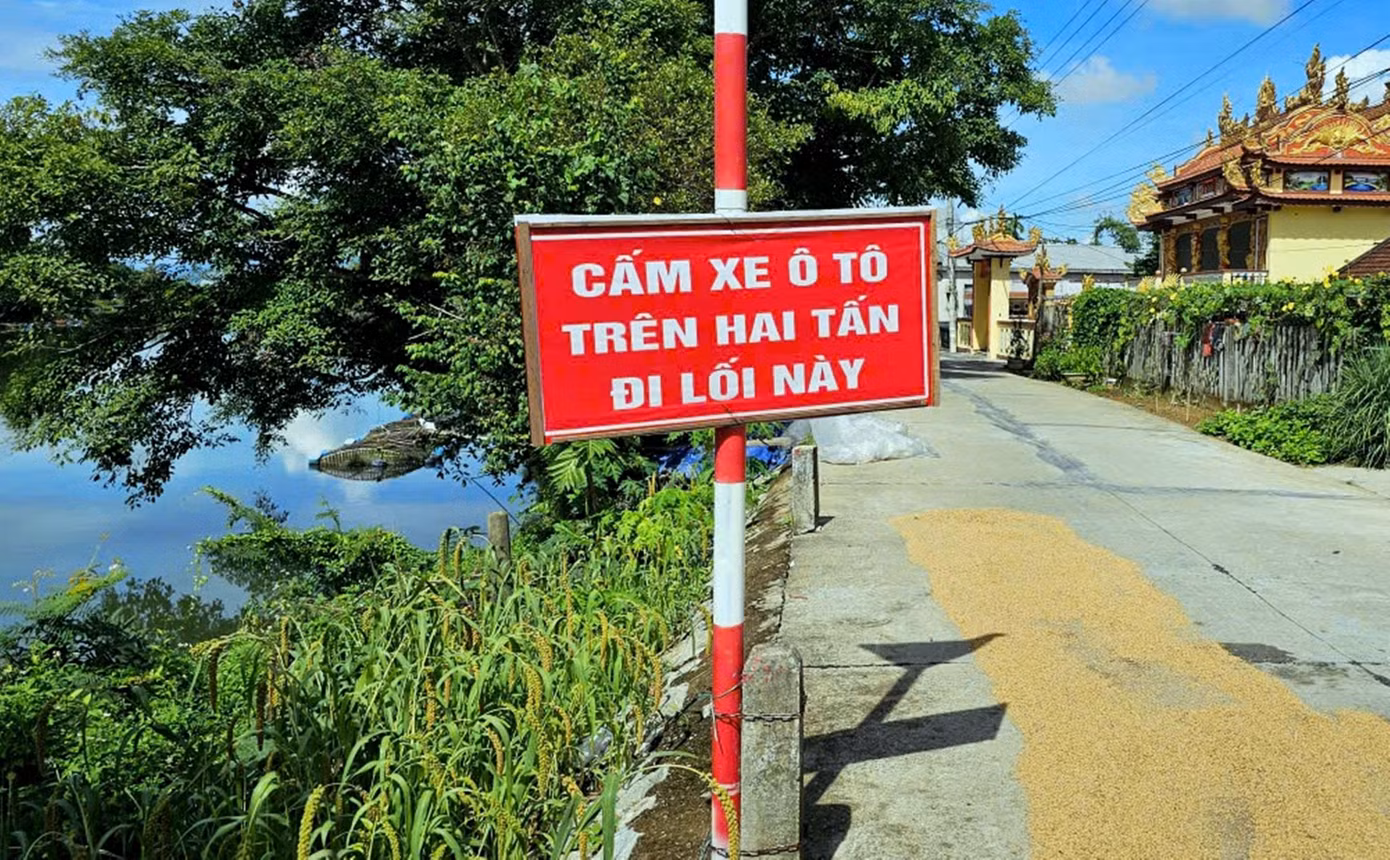 sat-lo-6.jpg