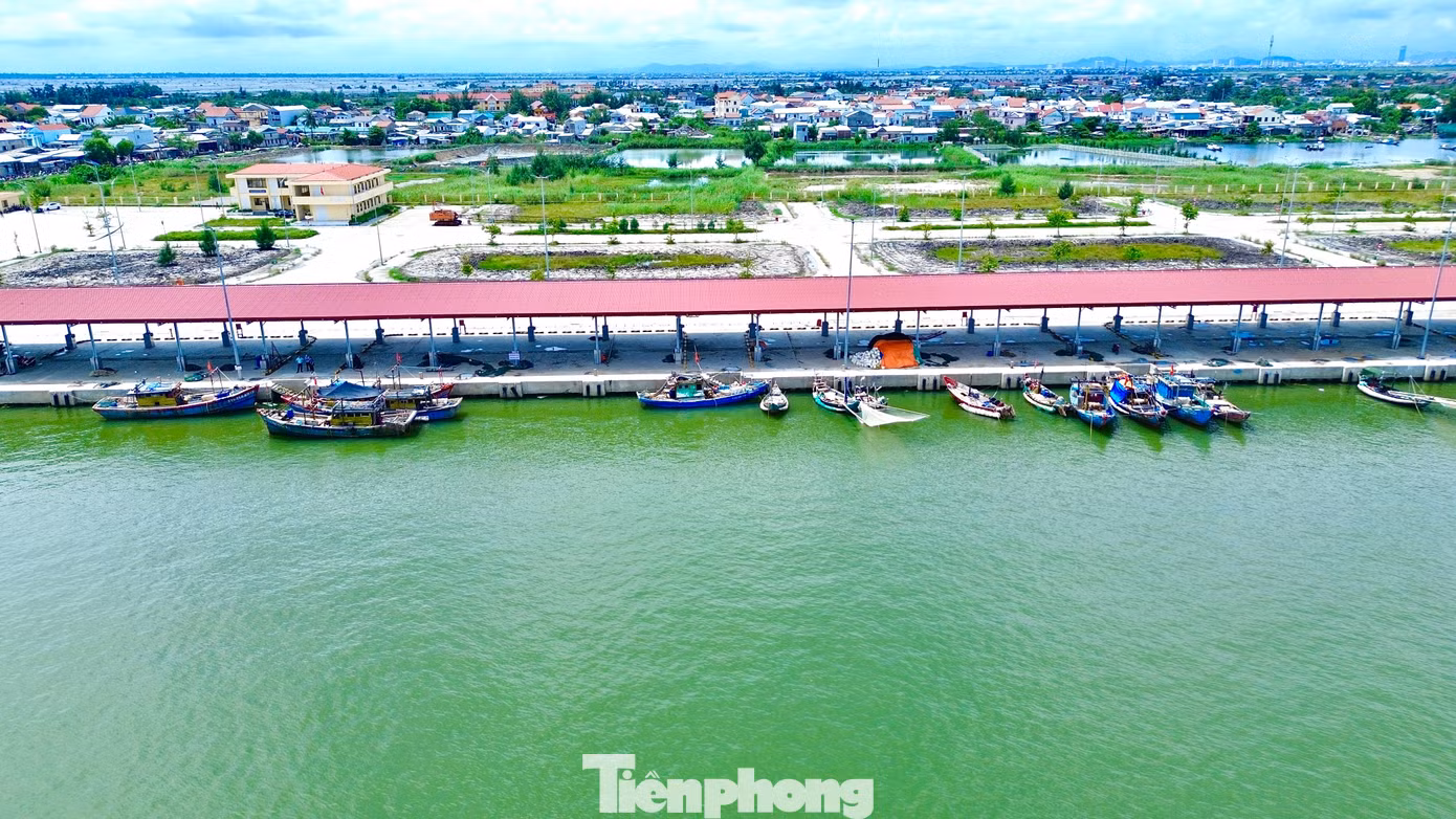 tp-9-cang-ca-thuan-an.jpg