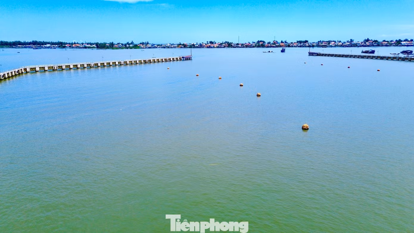 tp-5-cang-ca-thuan-an.jpg
