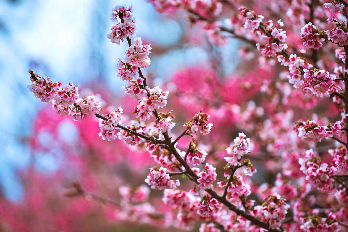 8b8ff5626bbee4e0bdaf.jpg