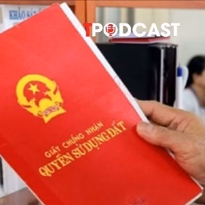 Một số trường hợp vi phạm đất đai vẫn được xem xét cấp sổ đỏ từ năm 2026
