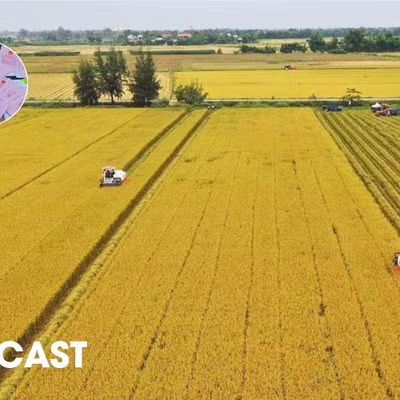 Đất trồng lúa sát đường giao thông, cạnh khu dân cư có được chuyển sang đất ở?