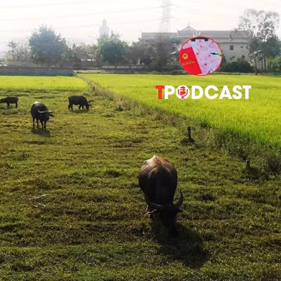 Bãi bỏ quy định dành 10% nguồn thu đất đai cho đo đạc và cấp giấy chứng nhận