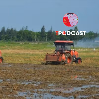 Có được thế chấp quyền sử dụng đất thuê trả tiền hằng năm?