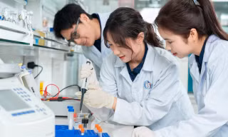 Sinh viên Đại học Phenikaa trong một giờ học về khoa học.