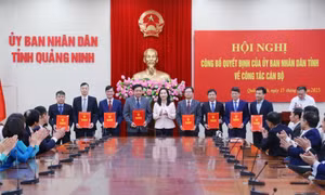 Quảng Ninh kiện toàn nhân sự nhiều cơ quan, đơn vị trọng điểm