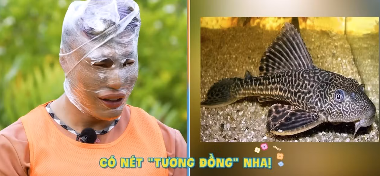 2ngay-1dem-5.jpg