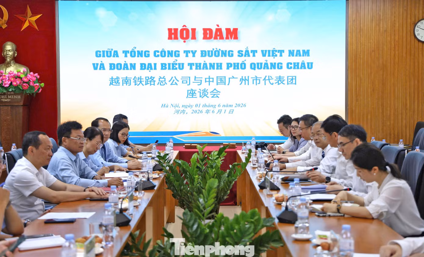 tp-toa-dam.png