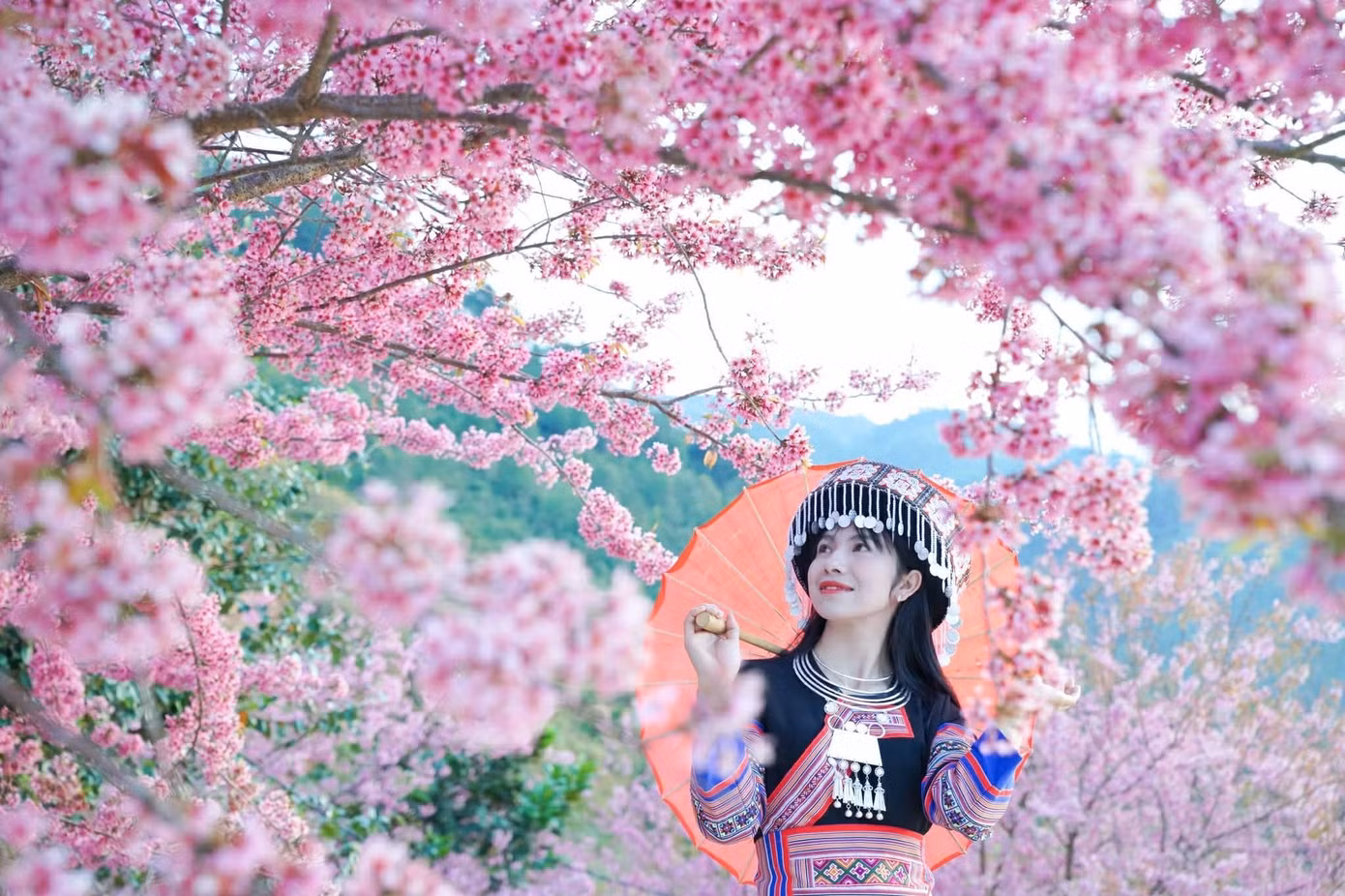 4d39b9da-0df7-452f-a033-aad4a7518c14.jpg