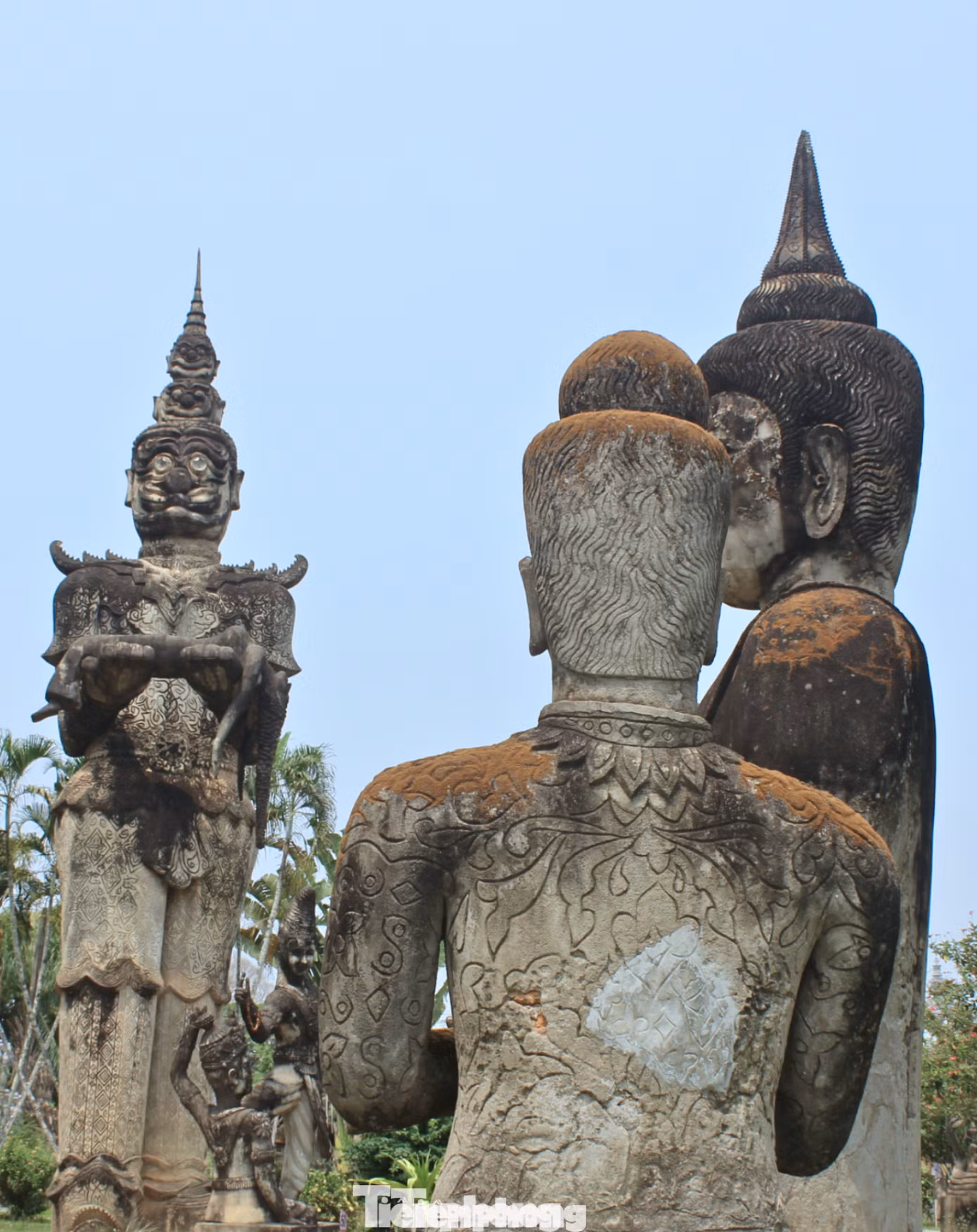tp-vuon-tuong-phat-2-9649.png