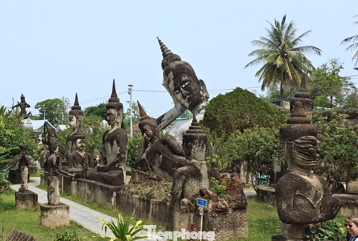 tp-vuon-tuong-phat-6.png