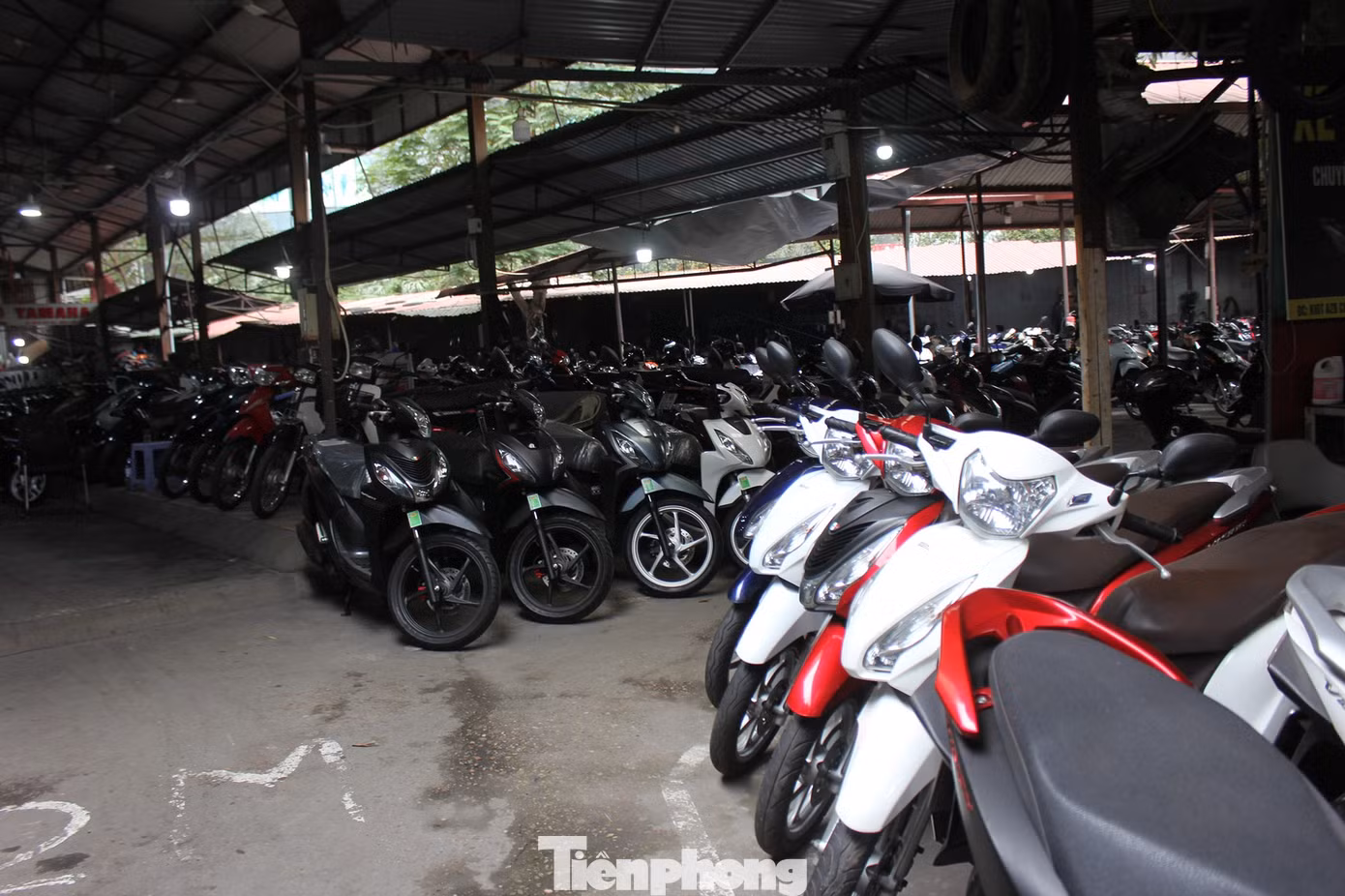 tp-thi-truong-xe-may-cu-tet-am-dam-12.png