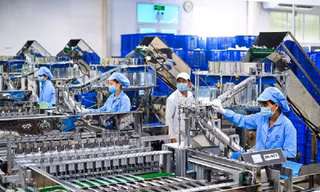 TPHCM ưu tiên phát triển AI, công nghệ sinh học, năng lượng sạch