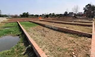 Rà soát diện rộng tình trạng phân lô bán nền tự phát