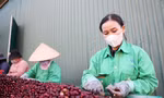 Miễn thuế đối ứng, nhiều nông sản Việt có cơ hội tăng xuất khẩu sang Mỹ