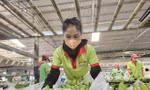 Nghịch lý tiêu chuẩn kép nông sản Việt - kỳ 4: Thị trường nội địa 'dễ dãi' với hàng kém chất lượng?