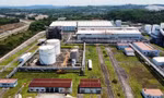 Triển khai xăng E10: Canh bạc mạo hiểm với các dự án ethanol ‘đắp chiếu’?