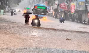 Dự báo bão số 11 Matmo gây mưa lớn trên diện rộng, Hà Nội có mưa vừa đến mưa to từ gần sáng 6/10 cho đến hết 7/10