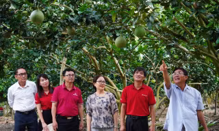 Để nông dân tự tin 'bám' ruộng