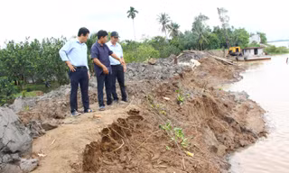 Cồn Thanh Long 'căng mình' chống sạt lở trong triều cường