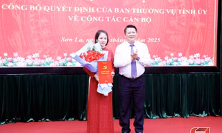 Điều động, bổ nhiệm, bầu nhân sự mới ở 4 tỉnh