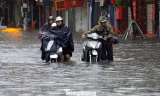 Bí thư Hải Phòng đi thị sát, yêu cầu làm gấp các dự án ứng phó biến đổi khí hậu 