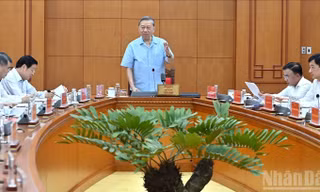 Tổng Bí thư Tô Lâm chủ trì họp Thường trực Ban Chỉ đạo Trung ương về phòng, chống tham nhũng