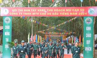 Ngành Cao su Việt Nam: Thi đua để phát triển bền vững