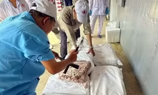 Vụ patê 'dính' lợn bệnh: Hải Phòng rà soát lò mổ, cơ sở chế biến thịt