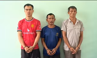 Công an TPHCM bóc gỡ băng trộm cắp, tiêu thụ xe máy liên tỉnh