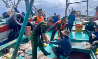 Đồn Biên phòng Côn Đảo bắt giữ đối tượng truy nã về tội giết người lẩn trốn trên tàu cá
