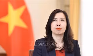 Ngoại giao nỗ lực góp phần gắn kết đồng bào ta ở trong và ngoài nước