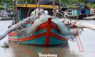 Hải Phòng xử phạt 19 chủ tàu tàng trữ kích điện khai thác thủy sản trái phép