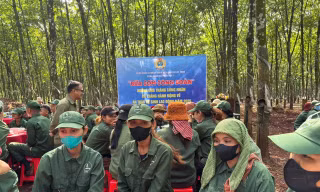 BÀI 6: Lộc Ninh – Bữa cơm nghĩa tình giữa rừng cao su