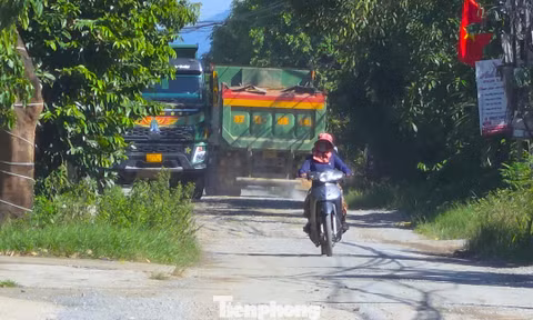 Đề nghị làm rõ tuyến đường 'mưa ngập, nắng bụi', xe tải nối đuôi ở Nghệ An