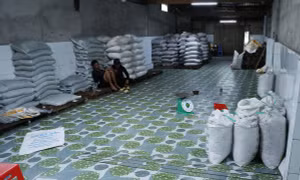 Kiểm tra cửa hàng vật tư nông nghiệp, thu giữ hàng chục tấn phân bón không phép