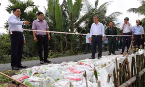 Vĩnh Long: 9 điểm sạt lở đặc biệt nguy hiểm trên tuyến đê bao ven sông Hậu