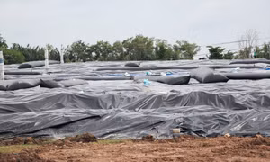 Vĩnh Long nghiên cứu di dời dân khu vực gần bãi rác An Hiệp